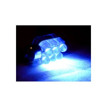 X-D LIGHT 6LED DOMELIGHT 10MMX36MM BLUE EACH